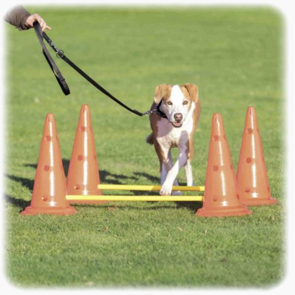 plastične prepreke za trening psa