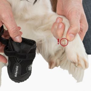 Udobne zaštitne cipele za pse