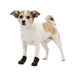 Walker Active udobne zaštitne cipele za pse 2kom