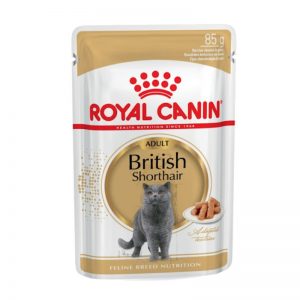 Royal Canin British Shorthair Gravy 12x85g