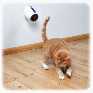 Plastični zidni laser za mačke