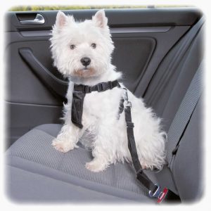 Sigurnosni pojas sa povocem za automobil za pse