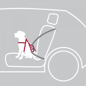 Sigurnosni am za pse u automobilu