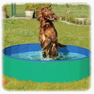 Bazen za pse Splash zeleni