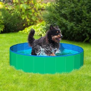 Bazen za pse Splash zeleni