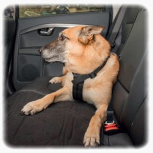 Sigurnosni pojas sa amom za automobil za pse