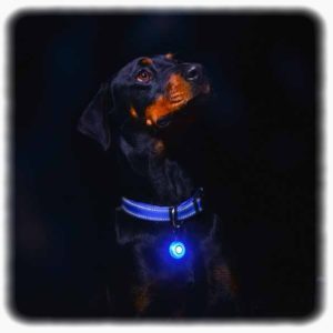 Rogz Safety svetleći privezak za pse