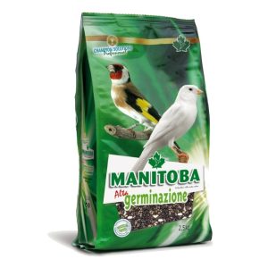 Manitoba High Germination 2,5kg