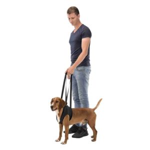 Pojas za noge za pomoć pri kretanju za pse