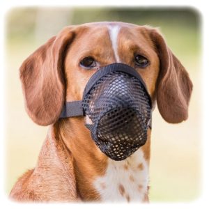 Zaštitna korpa protiv trovanja za pse