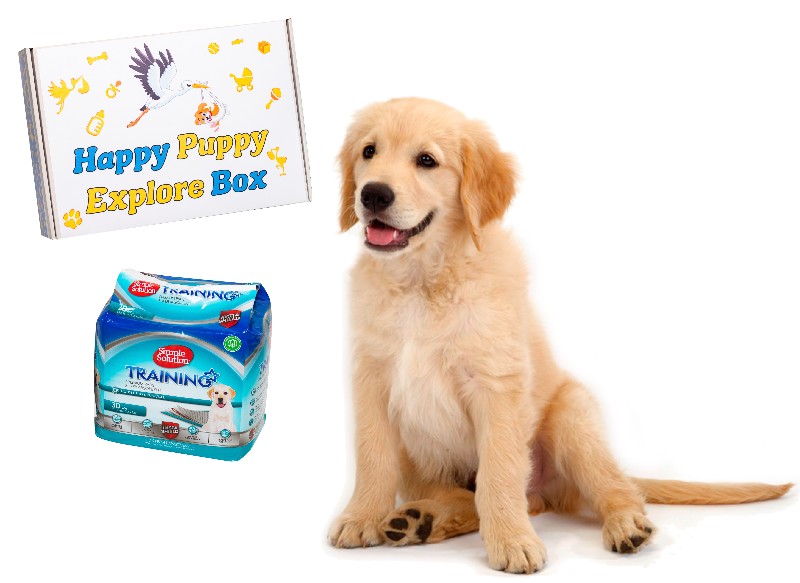 happy puppy explore box kompletan set za štence