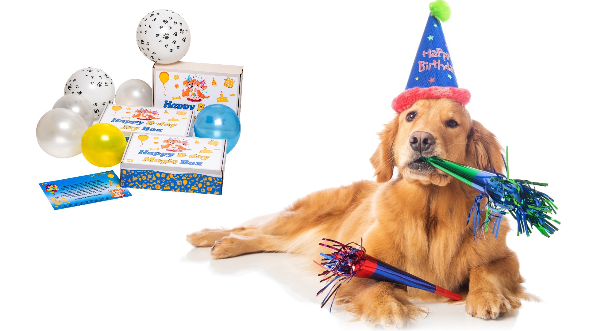 happy b-day box rođendanski poklon za pse
