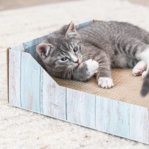 Kartonska grebalica i ležaljka za mačke