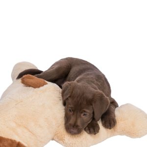 Cuddle Dog Benny plišano kuče za spavanje 75cm za štence